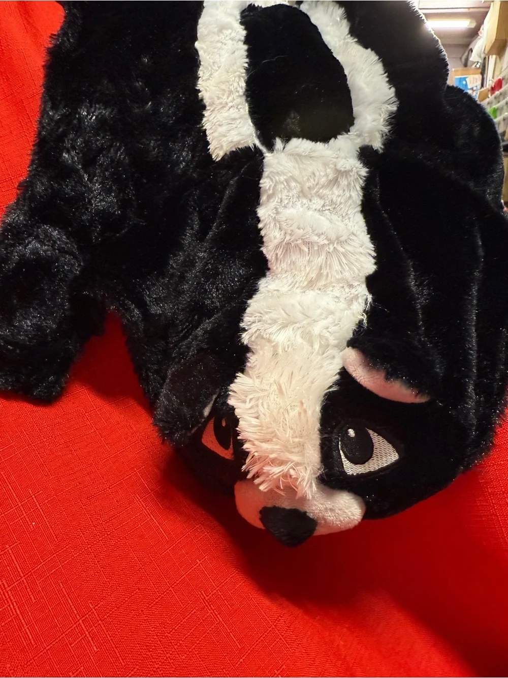 Black & White Plush Skunk Dog Halloween Costume Sz M